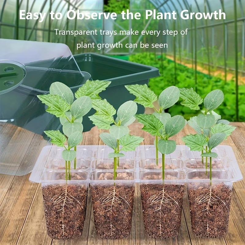 Kit de Germinação com 3 Bandej - Dome Propagation Kit avaliação e preço
