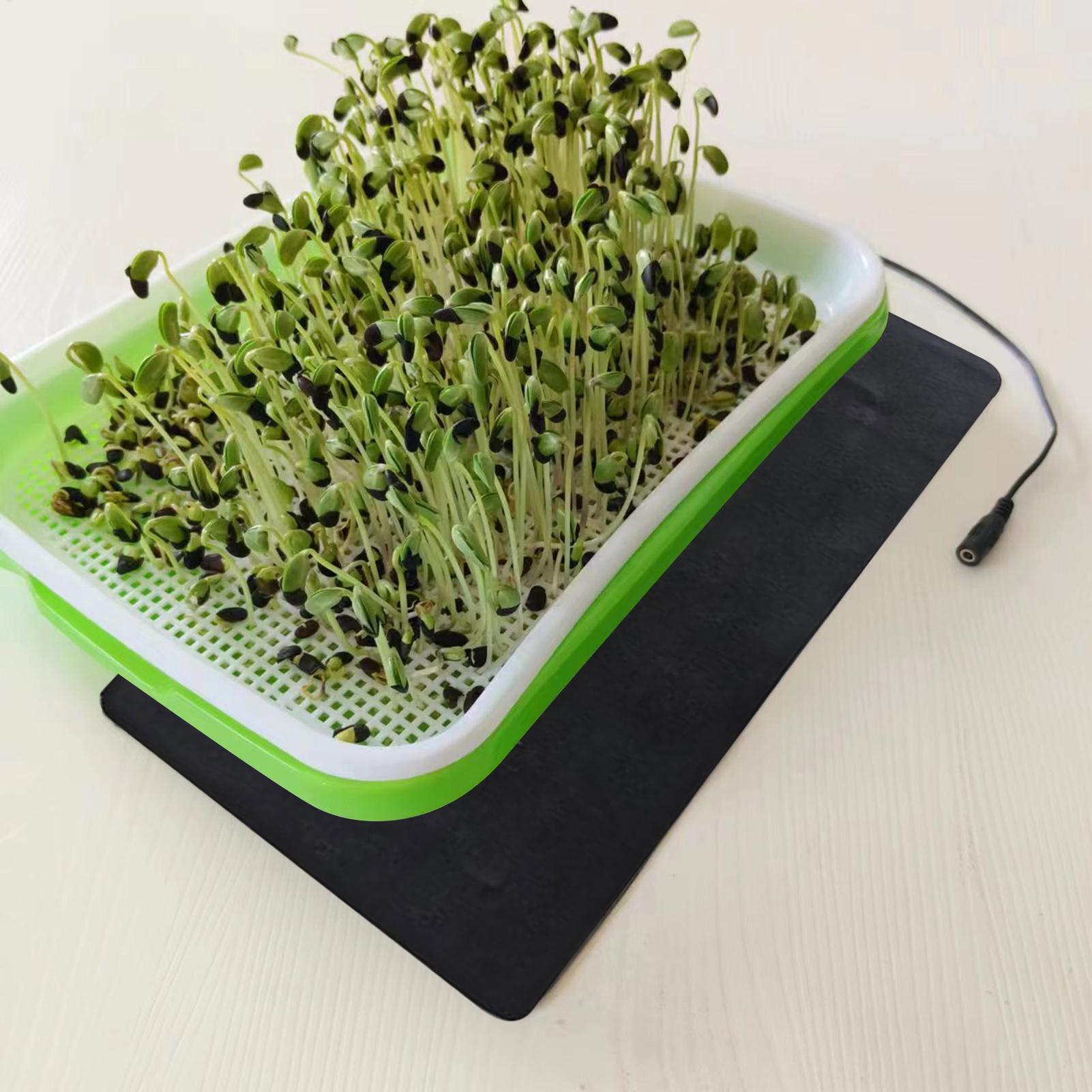 Tapete Térmico para Sementes 5 - Seedling Heat Pad avaliação e preço