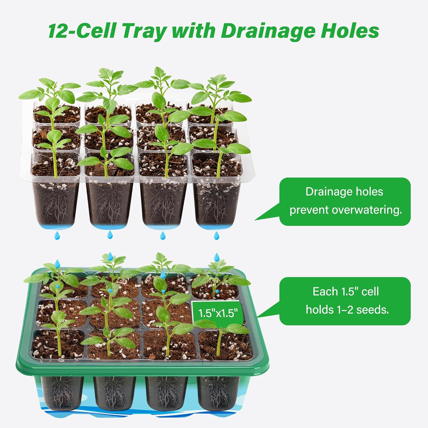 Kit de Iniciação para Cultivo  - Dome Propagation Kit avaliação e preço