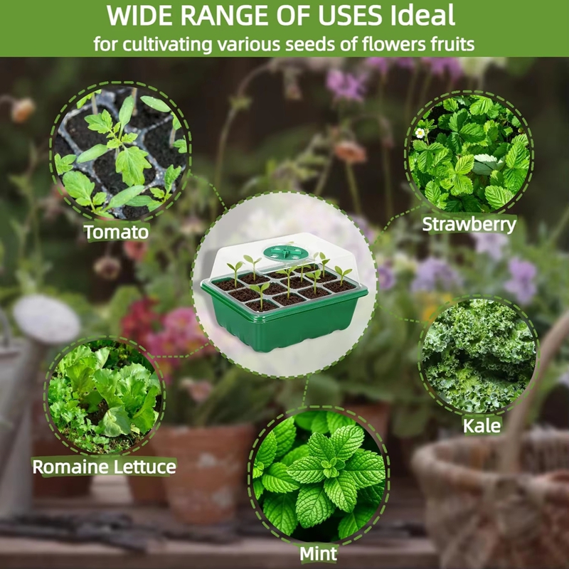 Kit de Germinação com Bandeja  - Dome Propagation Kit avaliação e preço